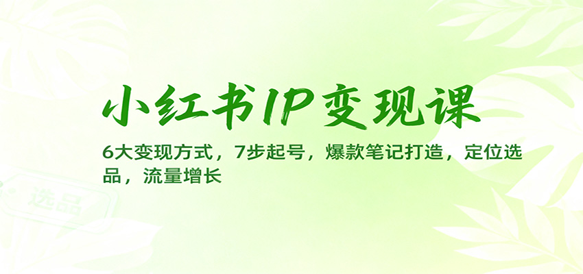 小红书IP变现课:6大变现方式,7步起号,爆款笔记打造,定位选品,流量增长-创业网